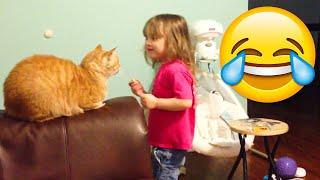 Unexpected Cats Attack - Crazy Cats Behavior - Try Not To Laugh || PETASTIC 