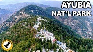 Ayubia National Park - Abbottabad District - Khyber Pakhtunkhwa - Pakistan