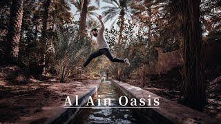 Al Ain Oasis