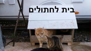 Building a cat house - בונה בית לחתולים