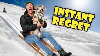 I Almost Froze In the Snow with My Dog! || Life After College: Ep. 786