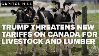 Trump threatens new tariffs on Canadian dairy and lumber, escalating trade tensions