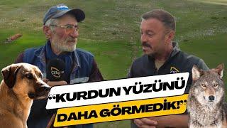 "Kurdun Yüzünü Daha Görmedik!"