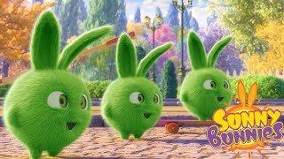 Cartoons for Children | SUNNY BUNNIES - TRIPLE HOPPER | Funny Cartoons For Children