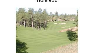 SRJ Real Estate features Chaparral Pines Golf Course