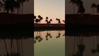 Siwa Oasis | Egypt vlog   #oasis #egypt