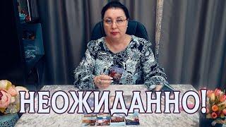 ОГО, КАК НЕОЖИДАННО! НАВЕЛИ ВЫ ШОРОХУ! ЧТО ГОВОРЯТ ЗА ВАШЕЙ СПИНОЙ?