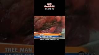 폐에서 자란 씨앗 #미스테리 #미제사건 #살인 #공포 #미해결사건 #범죄 #추리 #진실 #사건의재구성 #진실규명 #그것이알고싶다 #실종 #범죄수사 #무서운이야기