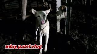 light nahi tha to chara rat ko kating kiya, uday patel vlog