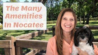 The Many Amenities of Nocatee - Ponte Vedra, FL - Tara Belanger Bright