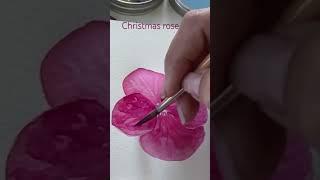 Christmas rose watch longer version ▶️ https://youtu.be/rQqOdjykkFY?si=8tK1GxUdw7tN_qDt