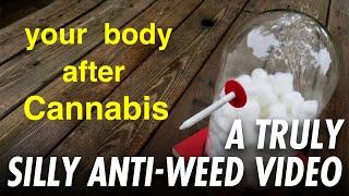 A Truly Silly Anti-Weed Video (Response to Chris Notap)