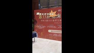 明清瓷器收藏指南：现场实操教你鉴定真假