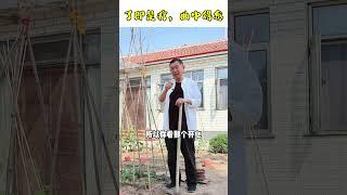 【史楍酼】农村小院的疗愈 #养生 #站桩