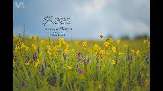 Kaas - A Valley of Flowers | Kaas Satara Cinematic Video | Maharashtra India |