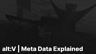 Meta Data Explained | alt:V