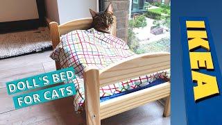 I bought my cats the IKEA doll's bed | TikTok made me buy it 