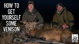 How to Hunt Deer on Public Land - A Beginners Guide to Doing it Yourself