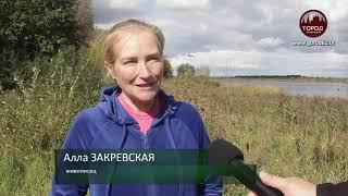 ТВ Телекомпания Город Рязань Мусор Канищево Архарова Юлия