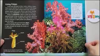 Coral Reefs Four Corners by Sydnie Meltzer Kleinhenz