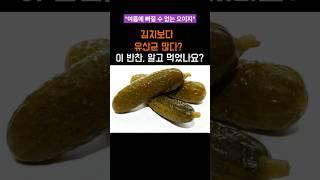 [오이지 유산균 폭탄] 여름 밥도둑, 알고 먹자 #건강정보 #알고먹자#오이#오이
