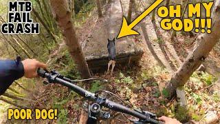 Best MTB Fails Of 2023 #176 | MTB Crashes of 2023 / Mtb classic
