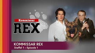 Kommissar Rex - Staffel 1- Episode 1