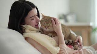 A Purrfect Guide to Happy & Healthy Feline Companionship!