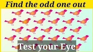 Find the odd one out | Test your Eye | Brainy World