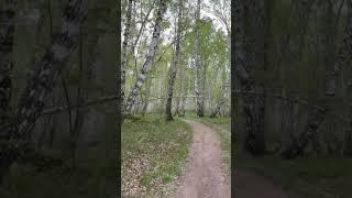 Живу в сказке и приглашаю вас в свой телеграмм за вдохновением