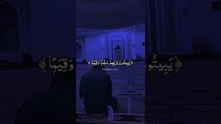 والذين يبيتون لربهم سجدا وقياما .. القارئ أدريس أبكر