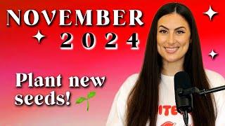 November 2024 Energy | Manifest opportunities by setting NEW intentions