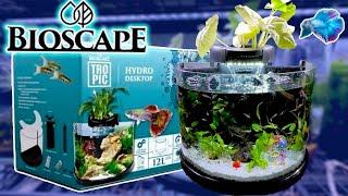 AMAZING CURVED GLASS AQUARIUM REVIEW! Bioscape Hydro Unbox / Aquascape!