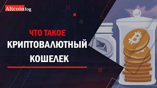 Что такое кошелек для криптовалюты: виды и различия