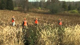 Wingshooting Safety - Bird Hunting Tip