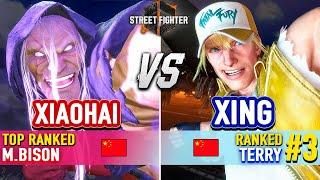 SF6  XIAOHAI (Top Ranked M.Bison) vs XING (#3 Ranked Terry)  Street Fighter 6 High Level Gameplay