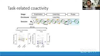 Talk: A Neural Coactivity Code for Dynamic Memory