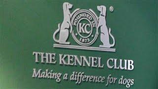 The Kennel Club