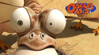 Special September COMPILATION | Oscar’s Oasis | Funny Cartoons for Kids