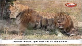 Cbse 5th CBSE SCIENCE | Amazing Animals | NCERT | CBSE Syllabus | Animated Video