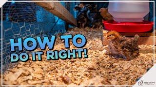 Chicken Brooders 101: Everything You Need To Know