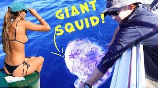 Orcas vs Giant Squid & Whale (CRAZY RARE ENCOUNTER!) Mahi Catch & Cook