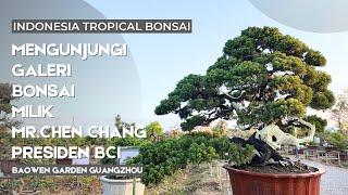 Galeri Bonsai "Baowen Garden" milik Mr Chen Chang di kota Guangzhou China