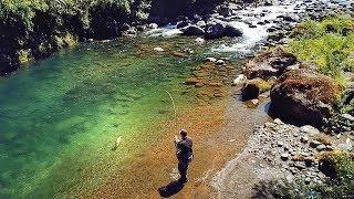 Huge Backcountry PB Trout [New Zealand]