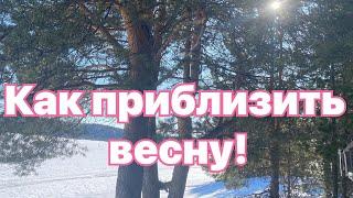 О ТОМ, О СЁМ! /ИЛИ : КАК ПРИБЛИЗИТЬ ВЕСНУ!