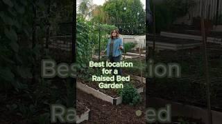 Best Location for a Raised Bed Garden  #gardening #vegetablegarden #raisedbedgardening