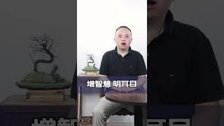 美容安神美颜果 你确定不来一颗 #健康 #中医#补血#安神#睡眠#养颜