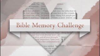 Bible Memory Challenge webinar with Graham Joseph Hill and Michael Frost