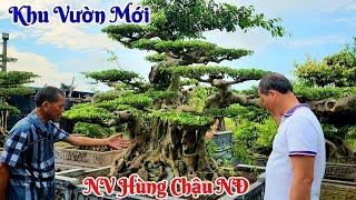 Thăm khu vườn mới của anh Hùng Chậu TP Nam định