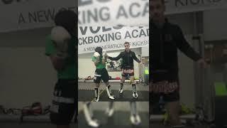 Both Vids Broken Down | No 393